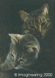 Da Cats